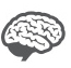 brain icon